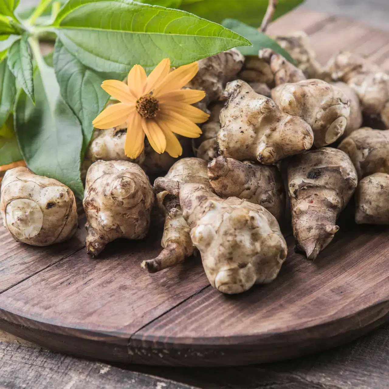 Evde zencefil yetiştirmenin en kolay yolu: Şifa kaynağı zencefile para vermeyin