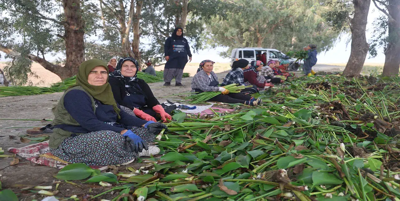 Asi Nehri'nin kalbi kırık kadınları: Depremin acısını sanatla dindiriyorlar