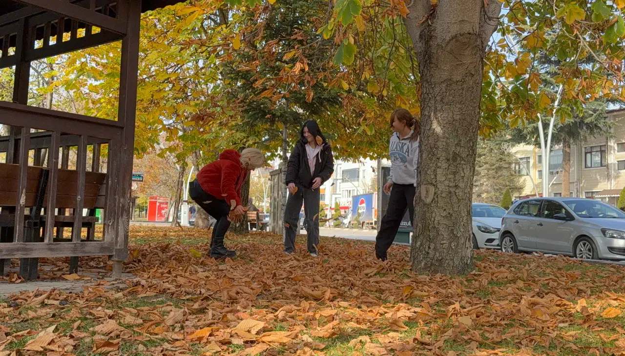 Belediye yaprakları temizlemedi, parkta renk cümbüşü oluştu