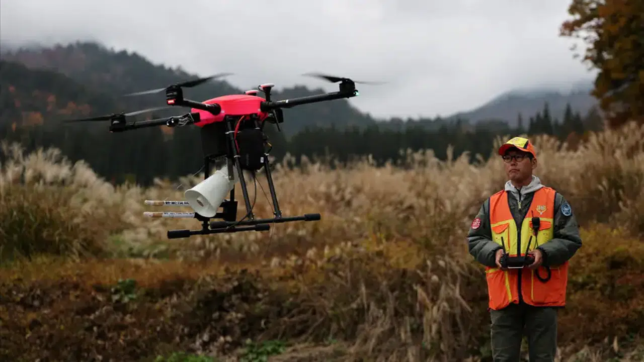 Ayı saldırılarına karşı "havlayan drone" önlemi
