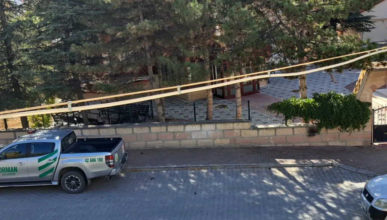 Konya'da İzinsiz Ağaç Kesene İdari Para Cezası Uygulandı