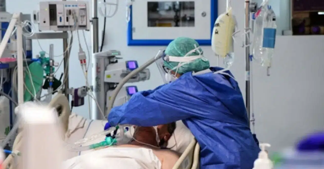 178 kişi ölmüştü: “Deli dana” hastalığı Ankara’dan sonra Bolu’da