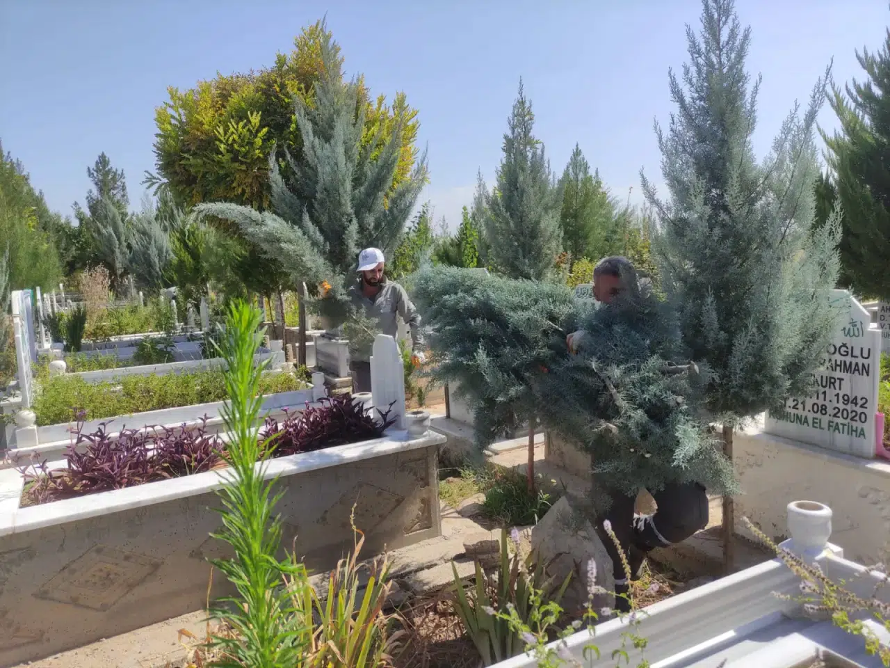 Ölüleri de dolandırdılar: 100 milyon liralık vurgun