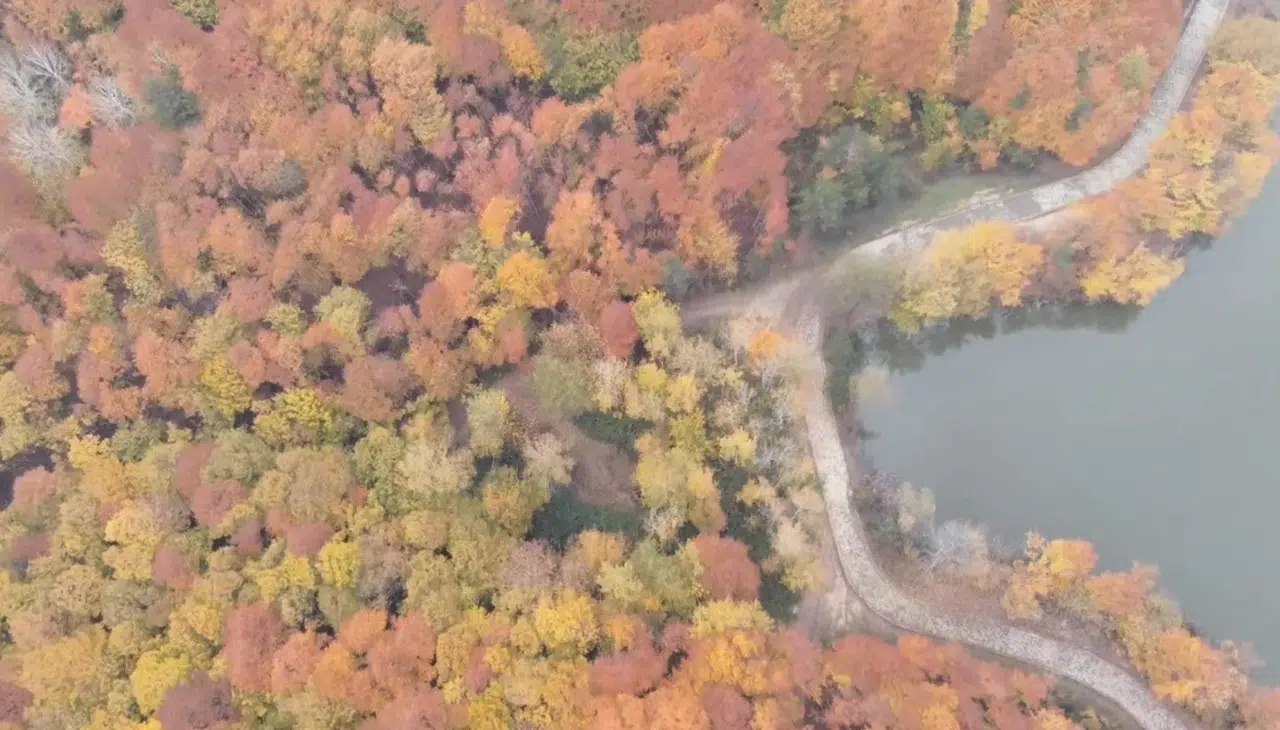 Turizm kenti Düzce'nin yeni rotası Korugöl'de fotosafari yapılıyor
