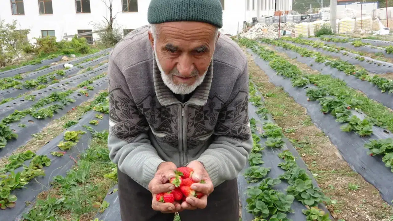 'Bedava dede': Bahçesindeki her şeyi ücretsiz dağıtıyor