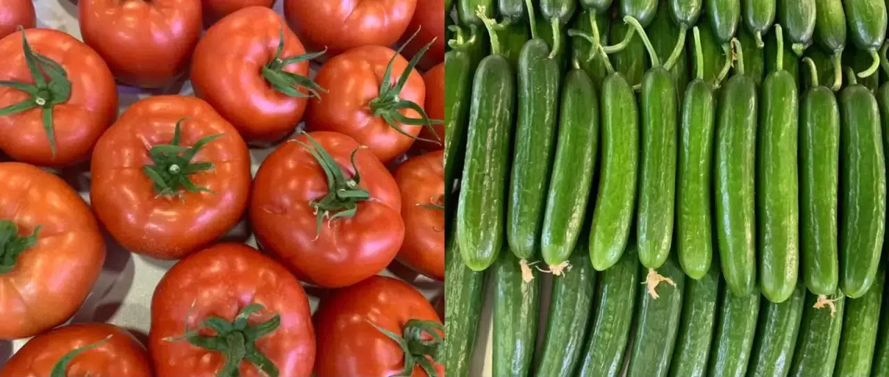 Gıda fiyatları el yakıyor: En bol olduğu dönemde domates ve salatalık rekor kırdı