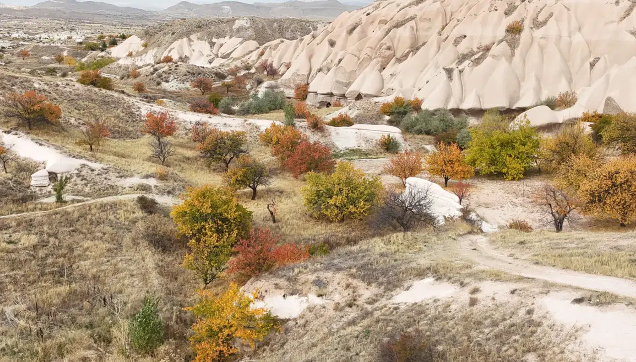 Kapadokya'da renk cümbüşü: Kartpostallık manzara