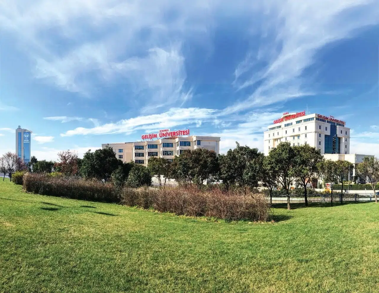 Onsuz yaşanmıyor ama: Ölüm nedenleri arasında üçüncü sırada