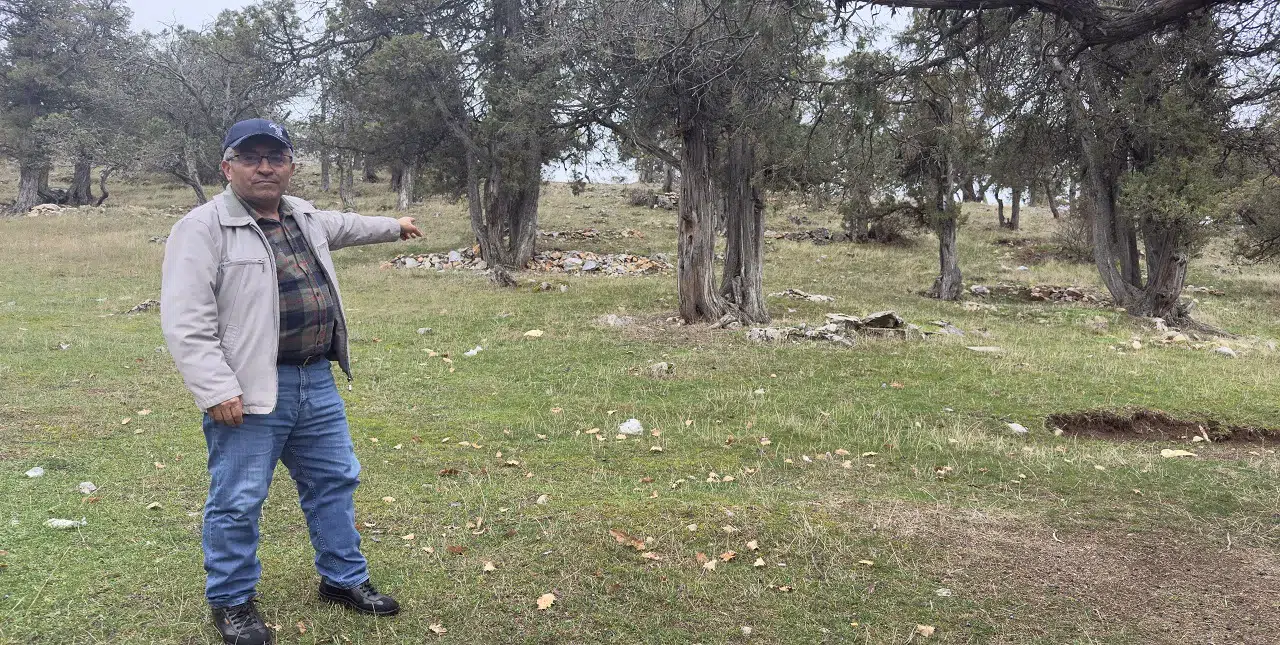 İnanılmaz ama gerçek: Bu ormana asırlardır balta girmedi