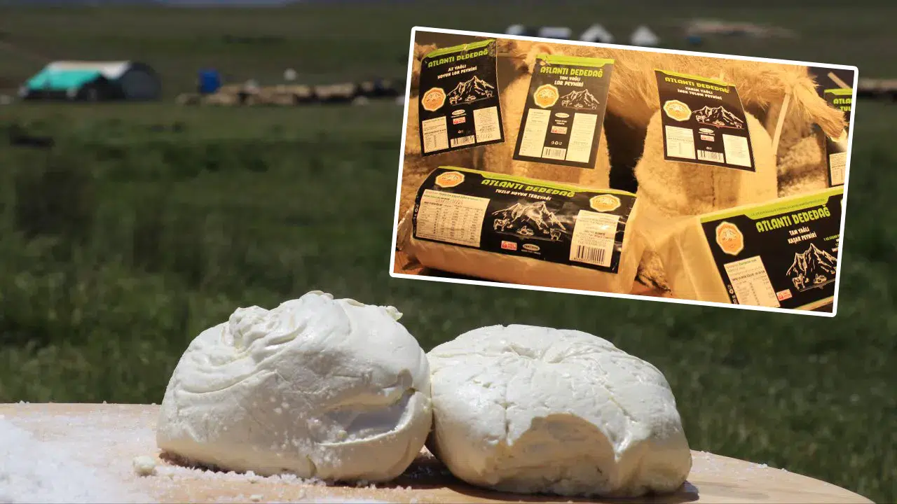 Lezzetini sadece Konyalılar biliyor: Ağızda dağılan peynir markalaştı