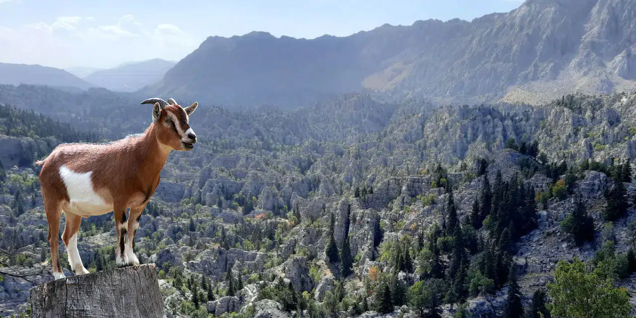 Konya'nın Giden Gelmez Dağlarından çağrı var: Görsel şölen yok oluyor