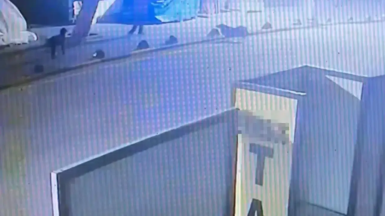 Köpeği tabancayla vurdu: Emekli astsubay köpeğin kendine saldırdığını iddia etti