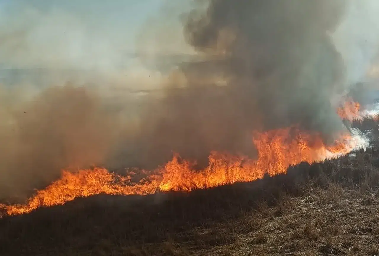 Konya'yı önce kuraklık sonra yangın vurdu: Beyşehir yanıyor