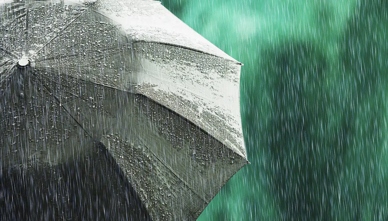 Gece boyunca Konya’ya rahmet yağdı: Toprak suya doydu