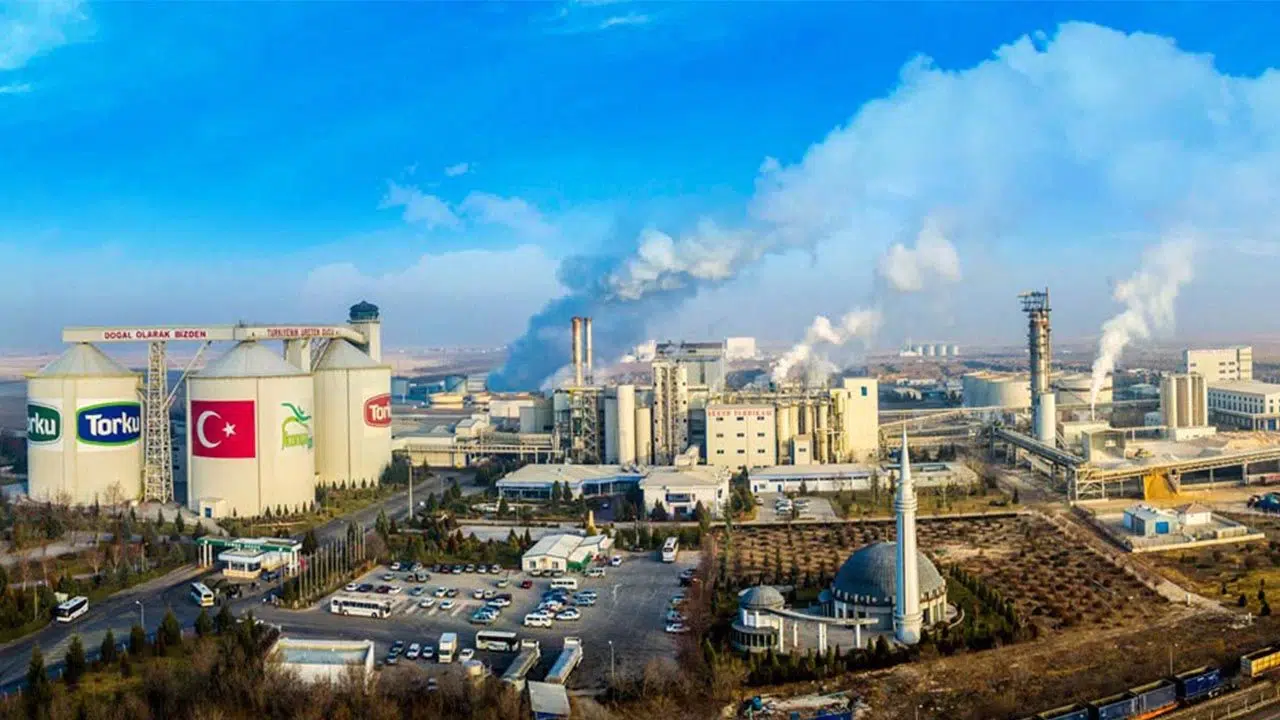 Konya'yı cercospora hastalığı vurdu: Çiftçilere 30 milyon TL'lik destek