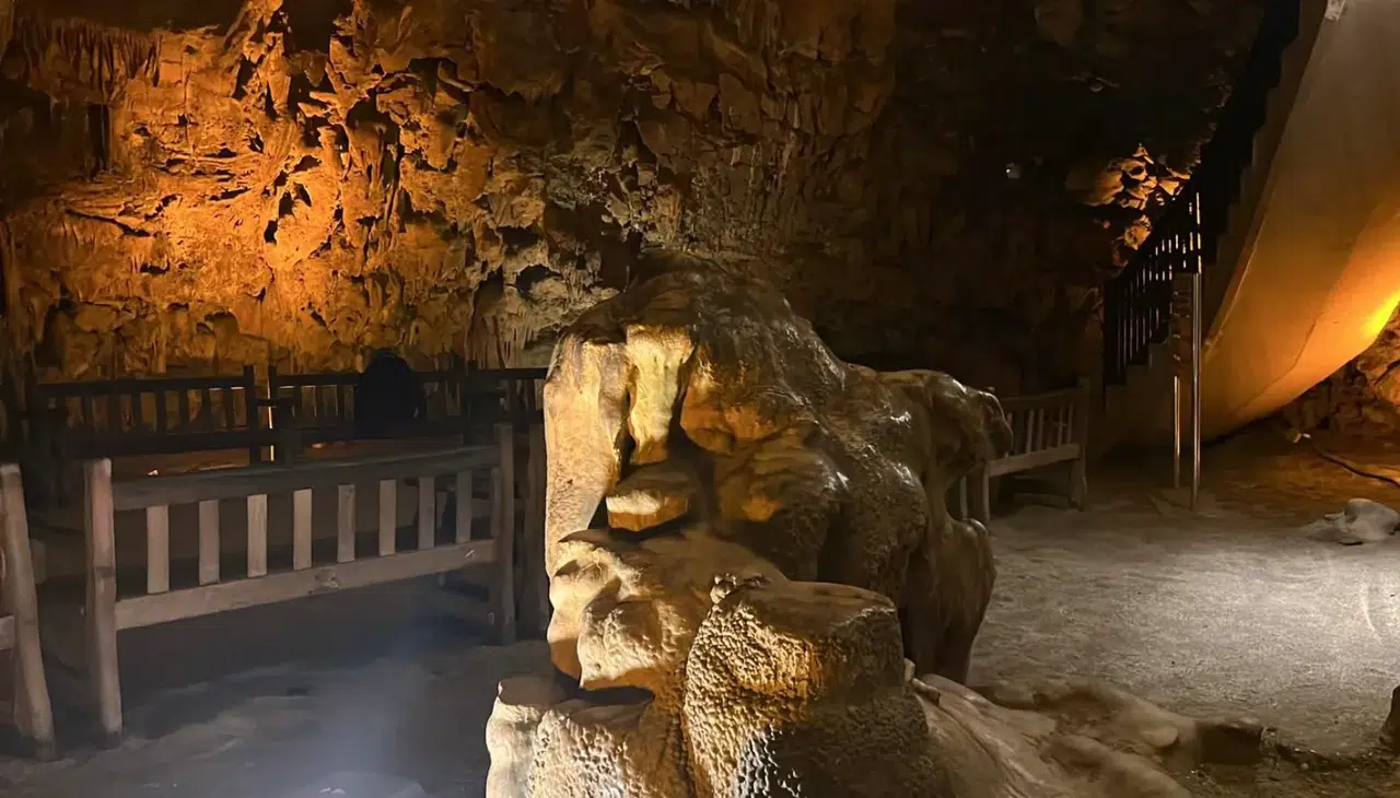 Konya’ya 280 kilometre mesafede. Astım hastalarına şifa oluyor