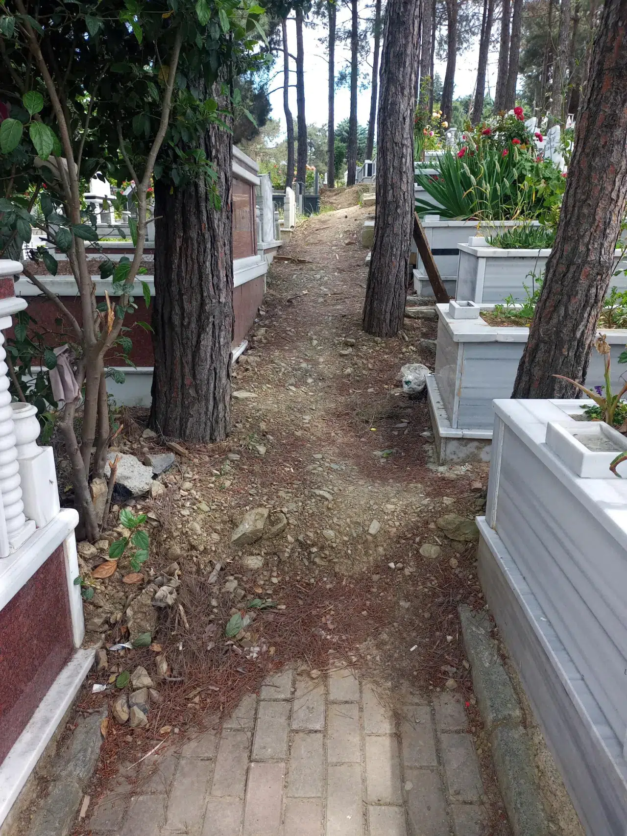 Ölü gömmek de zengin işi oluyor: Mezarlıklar için yüzde 200 zam