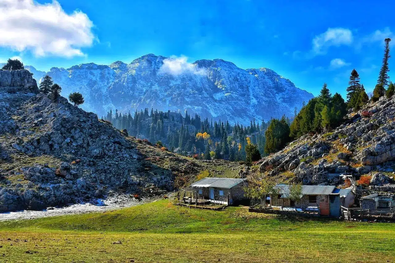 Konya'nın saklı cenneti: Ağaç Tepesi doğa resitali sunuyor