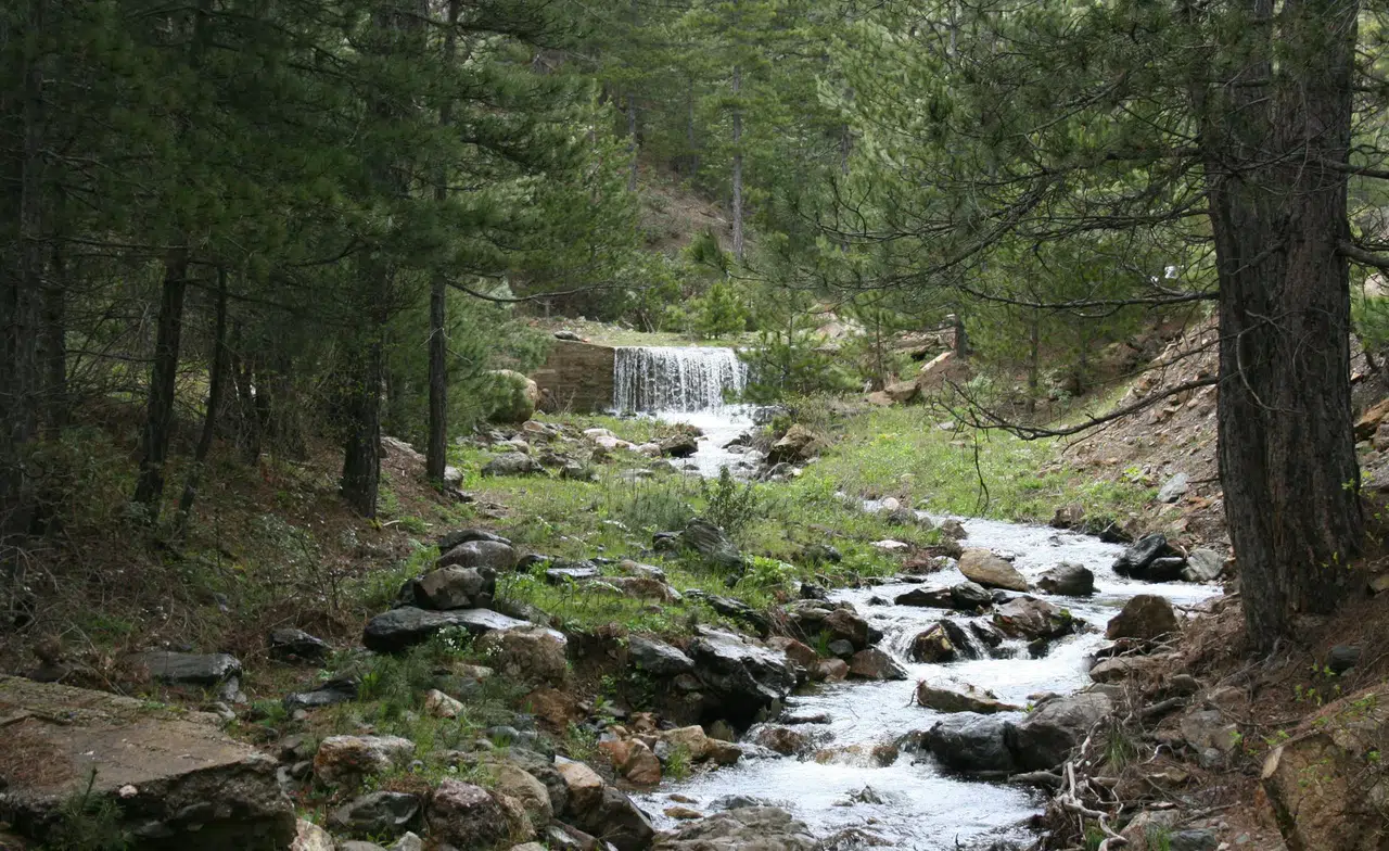 Konya'da kuruyan çeşmeler yeniden akmaya başladı: Anamas'a umut oldu