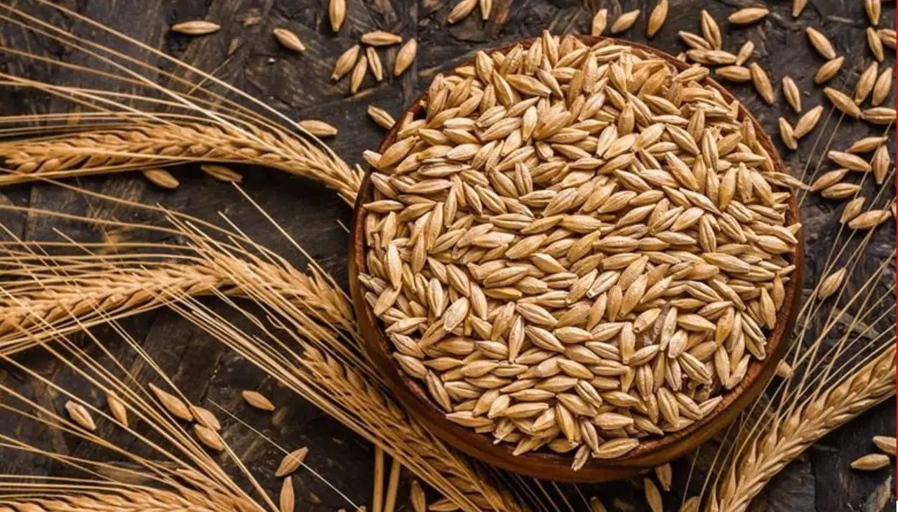 Kuraklık, Anadolu'daki çiftçileri arpa ekimine yöneltti