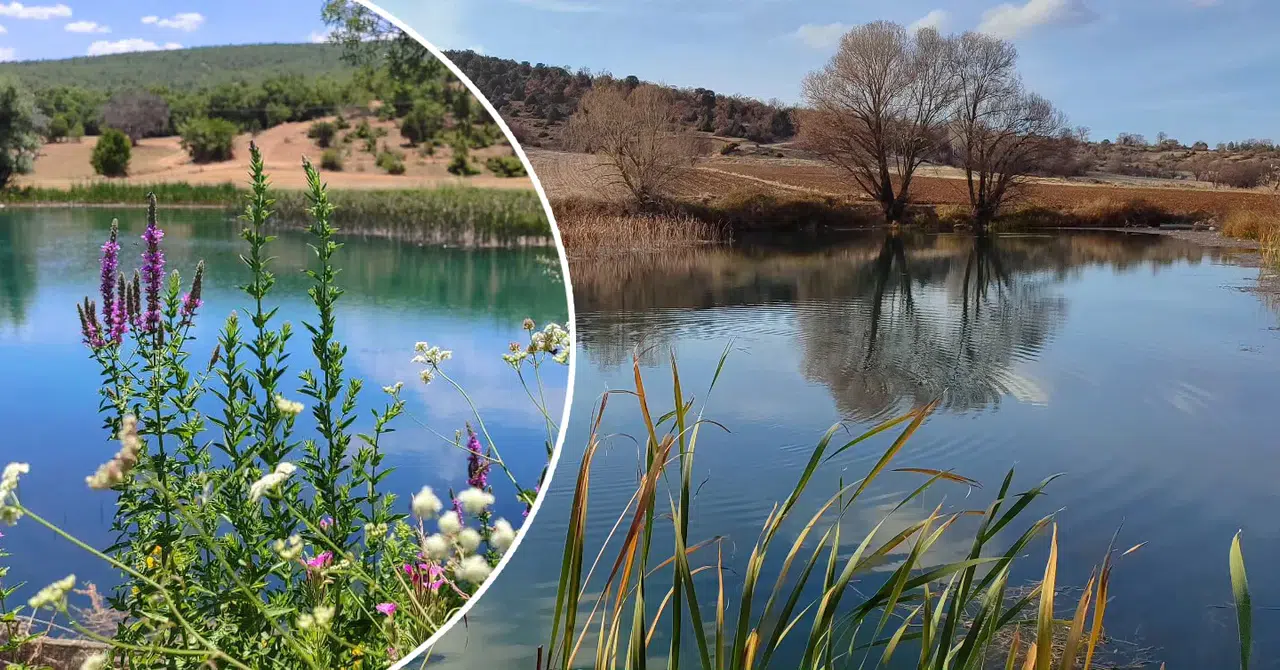 Konya'nın sırtını Sultan'a yaslamış gizemli mahallesi: Mahmuthisar