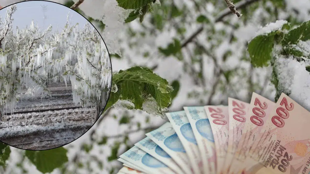 Çiftçilere müjde: 420 bin kişiye 23,4 milyar TL destek