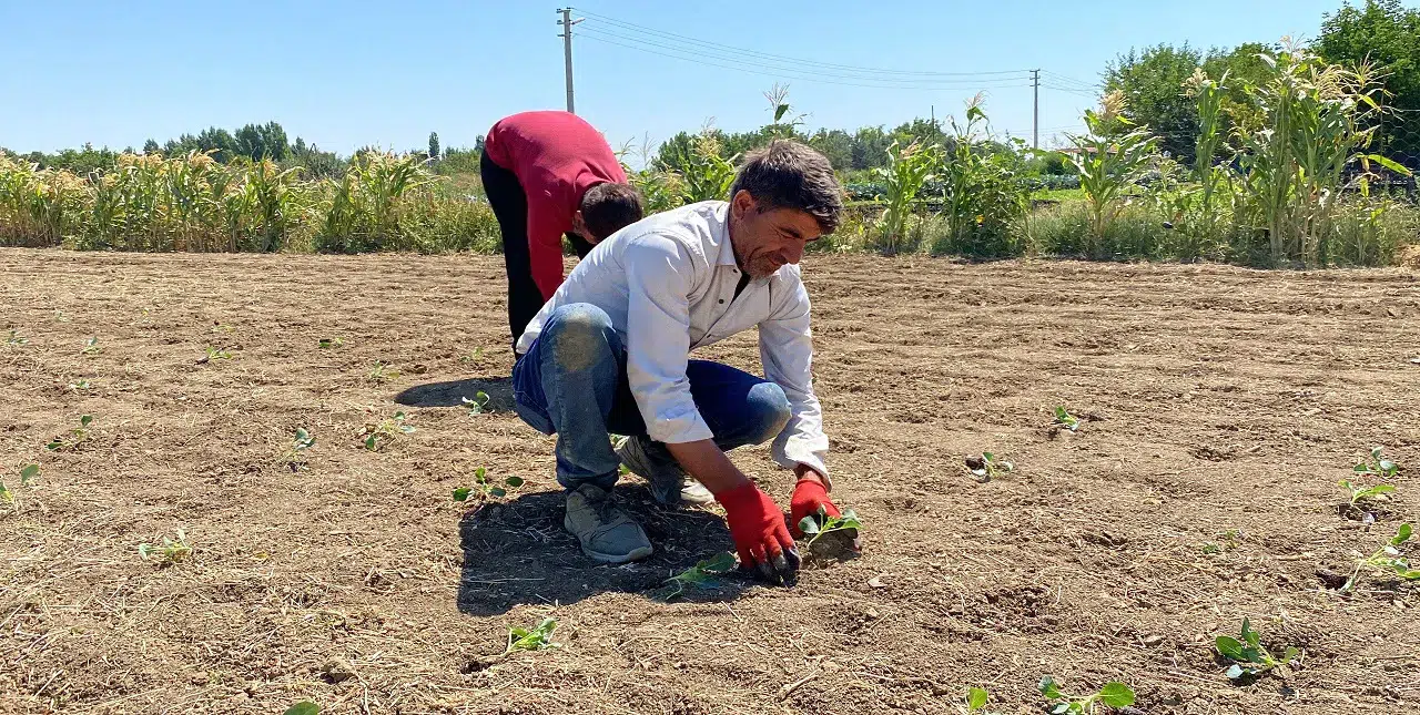 Konya'nın komşu ilinde artık kuyudan da su çıkmıyor