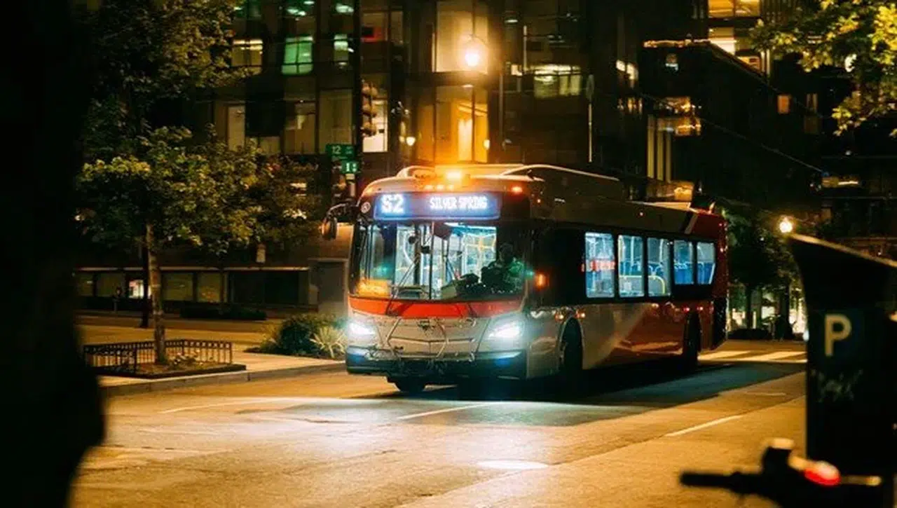 Avrupa'da yataklı gece otobüsü: Uyuyarak seyahat