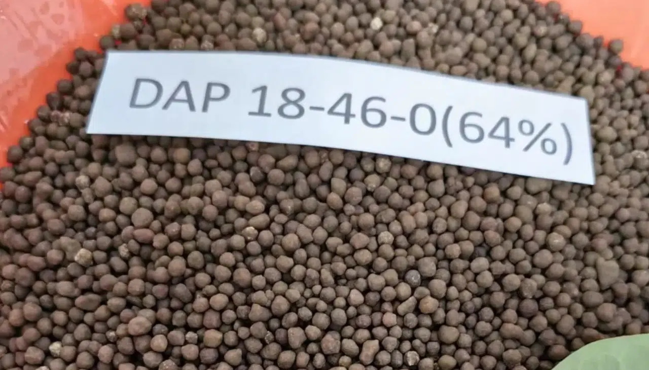 Ekim sezonu öncesi gübreye zam şoku: DAP 35 bin TL oldu