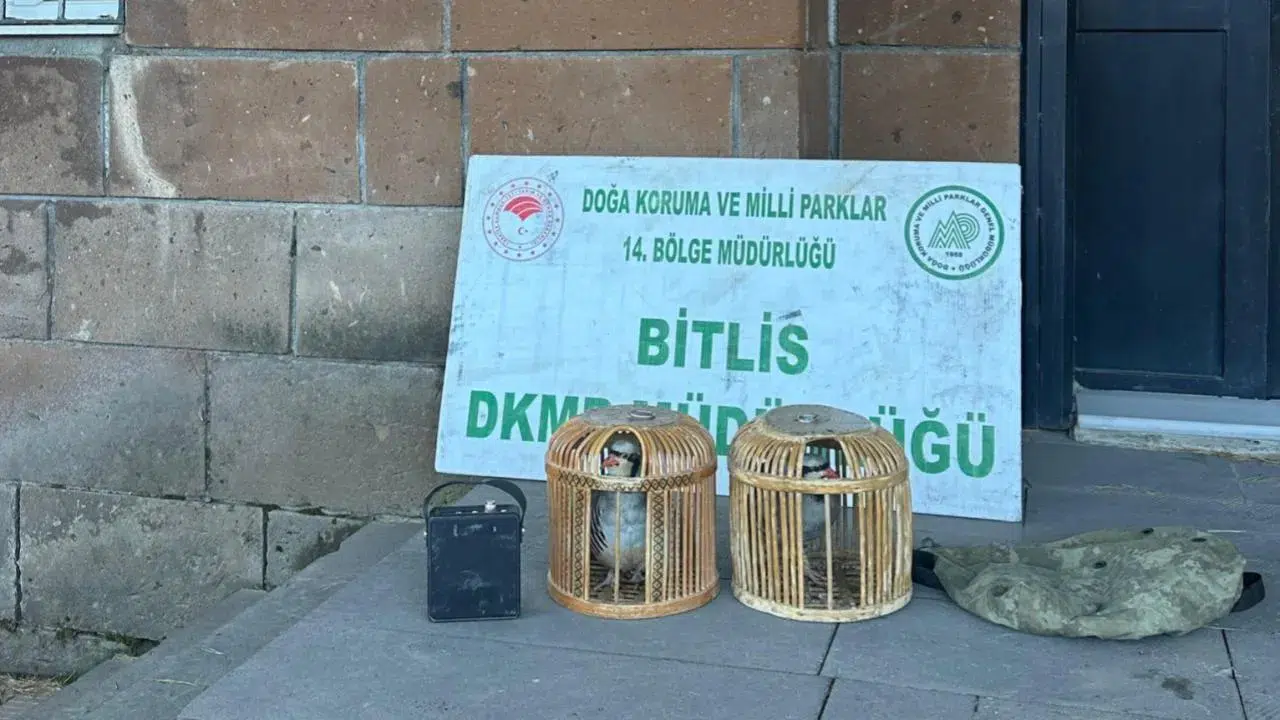 Ceza karşısında pişman oldular: Kaçak keklik avı hüsranla bitti