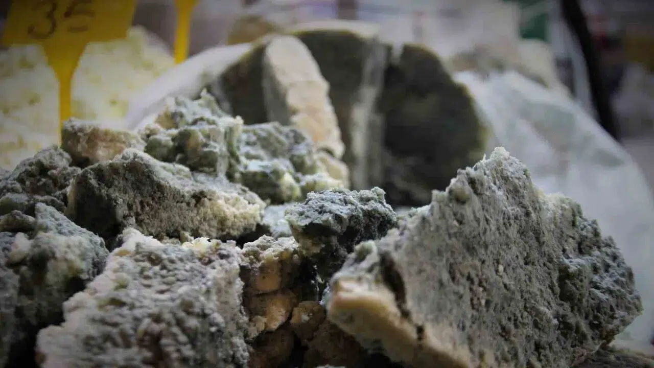 Konya'nın meşhur lezzeti küflü peynir! Yaşlanmayı engelliyor