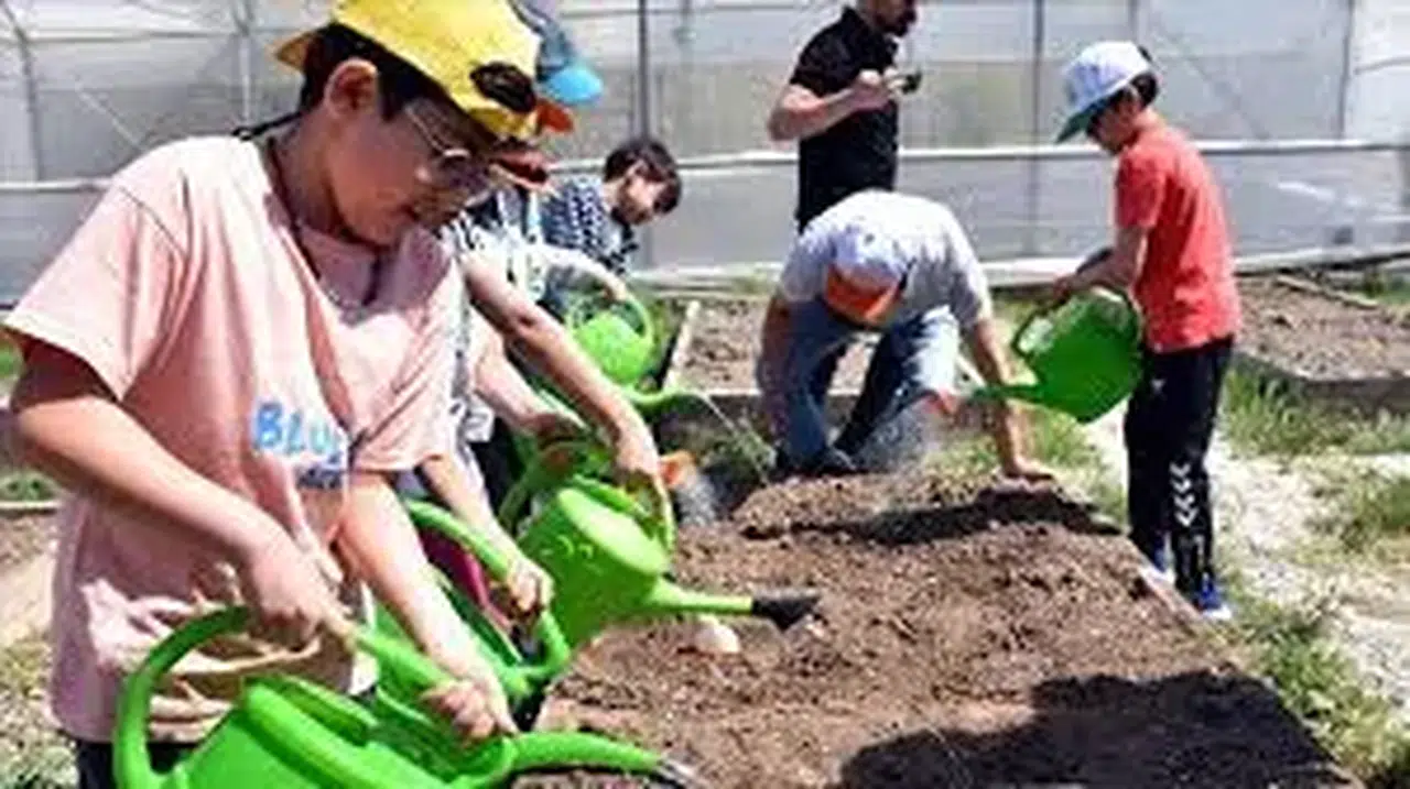 Organik tarım, kuş gözlemi ve afet eğitim: Öğrenci bu derslere çok şaşıracaklar