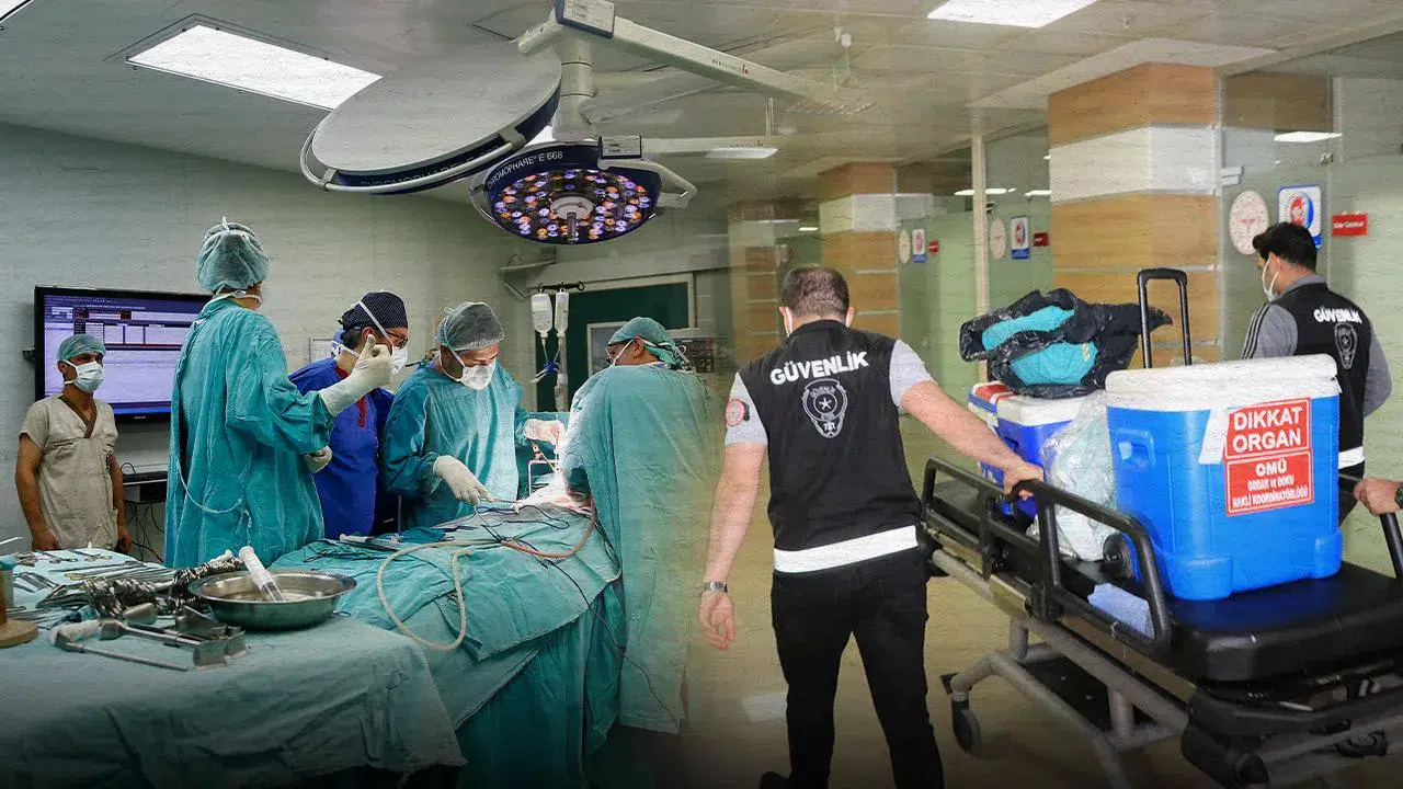 Nasıl yapılacak? Organ bağışında yeni dönem