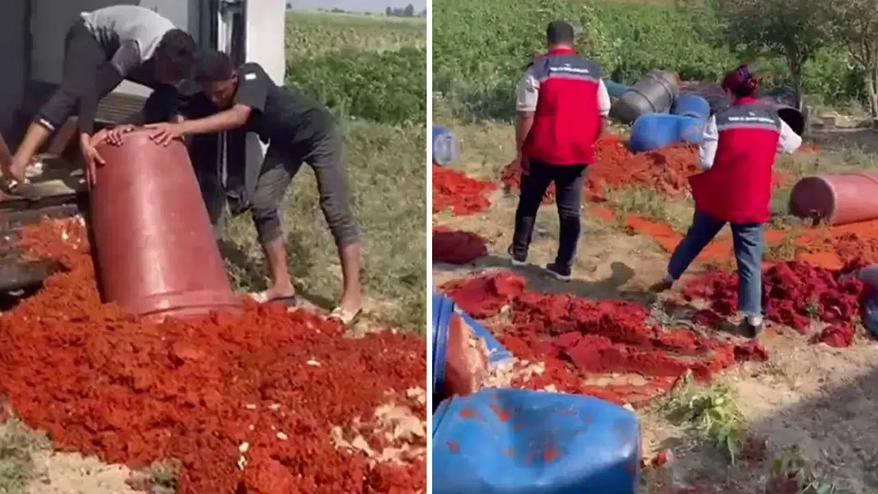 Dar gelirlinin sofrasına gelecekken tonlarcası çöpe gitti