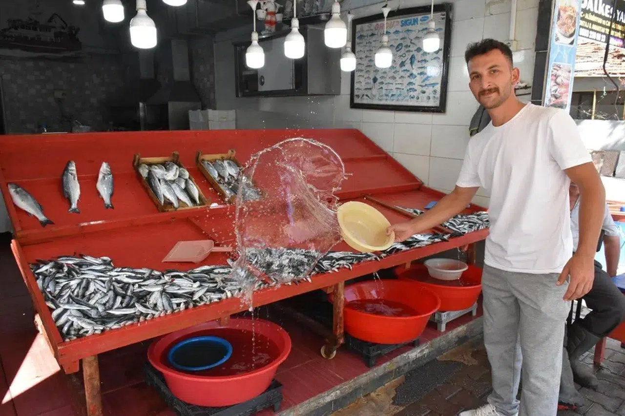 Bereket fiyatlara yansıdı: Kilosu 200 liradan kapışlıyor