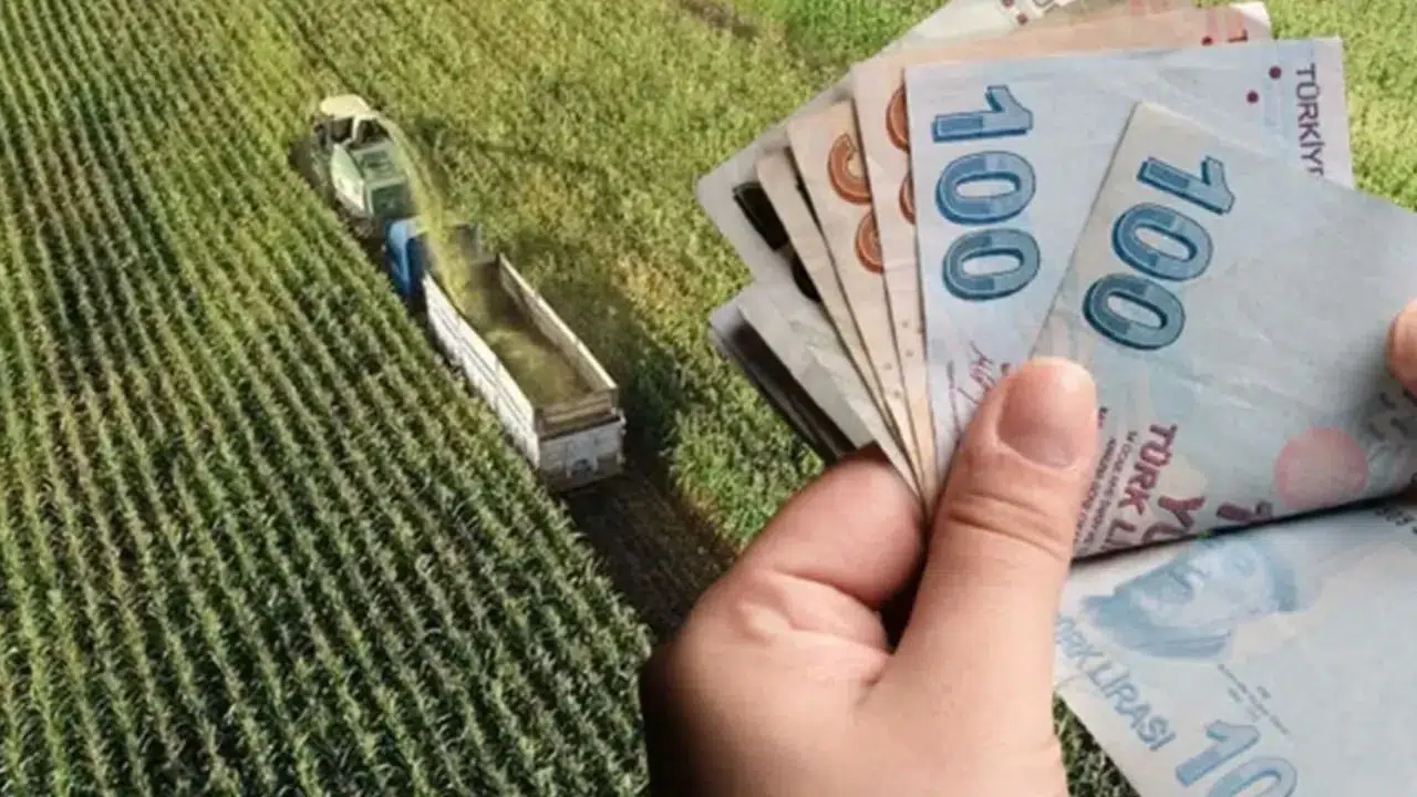 Çiftçiye müjde: Ayçiçeği, soya, pamuk, buğday ve baklagillerde 2026 destekleri