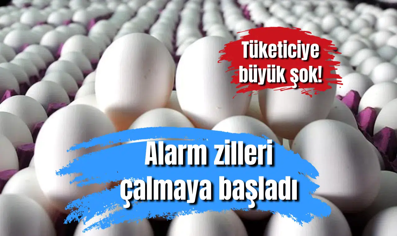Tüketiciye büyük şok! Alarm zilleri çalmaya başladı