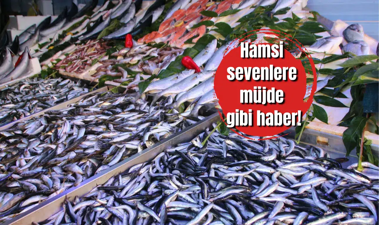 Hamsi sevenlere müjde gibi haber! Fiyatı bir günde tam 100 TL birden düştü