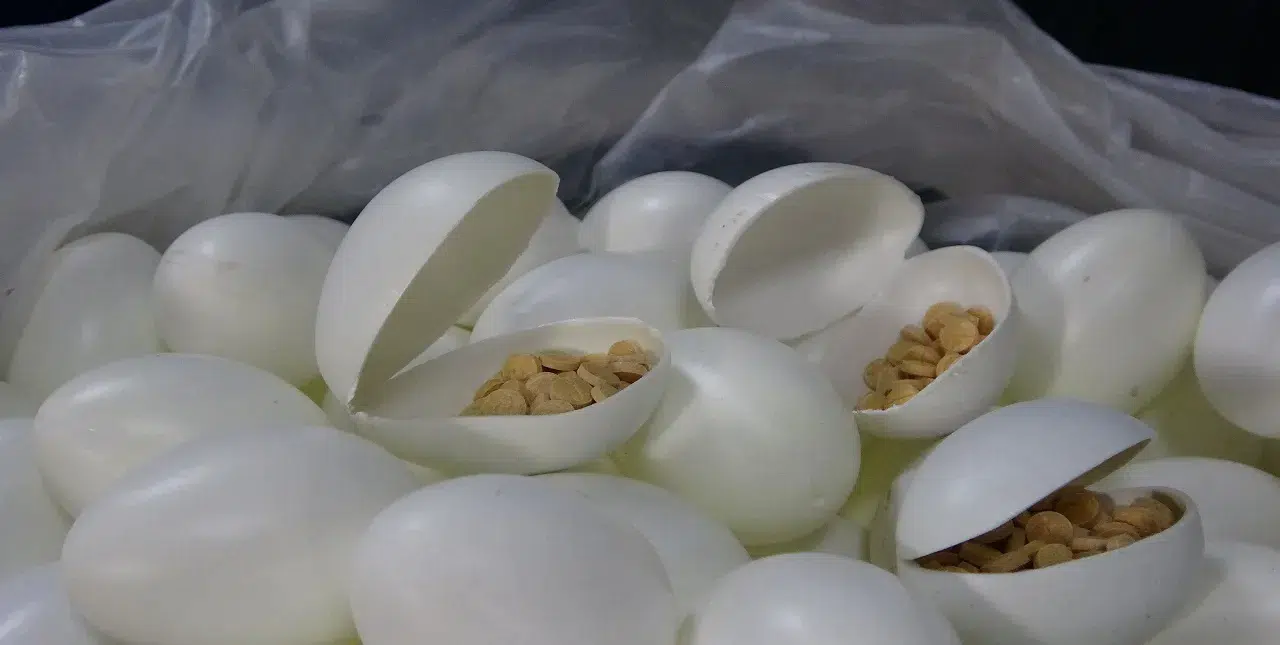 Sürpriz yumurtalardan uyuşturucu çıktı