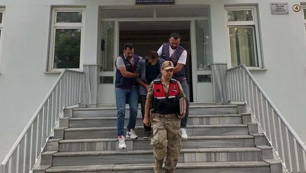 Bu da fındık faresi: Bahçelerden 1,5 ton fındık çaldı