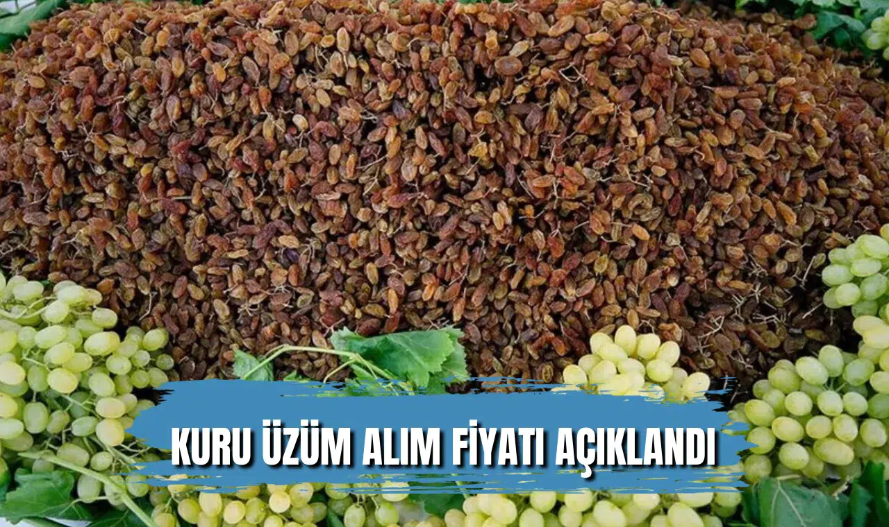 Üzüm üreticisine müjde: TMO kuru üzüm alım fiyatını açıkladı