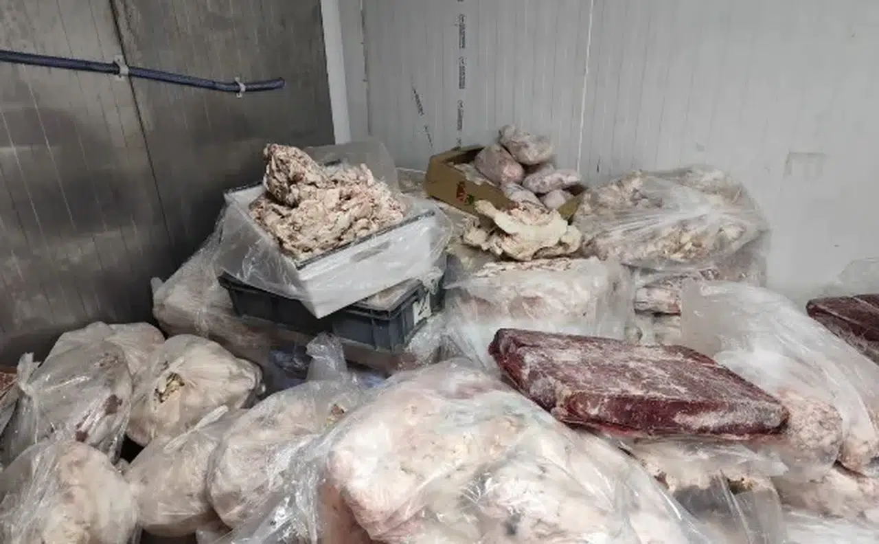 İnsanlara köfte yapıp yedireceklerdi:  11 bin 250 kilo kaçak et ve tavuk