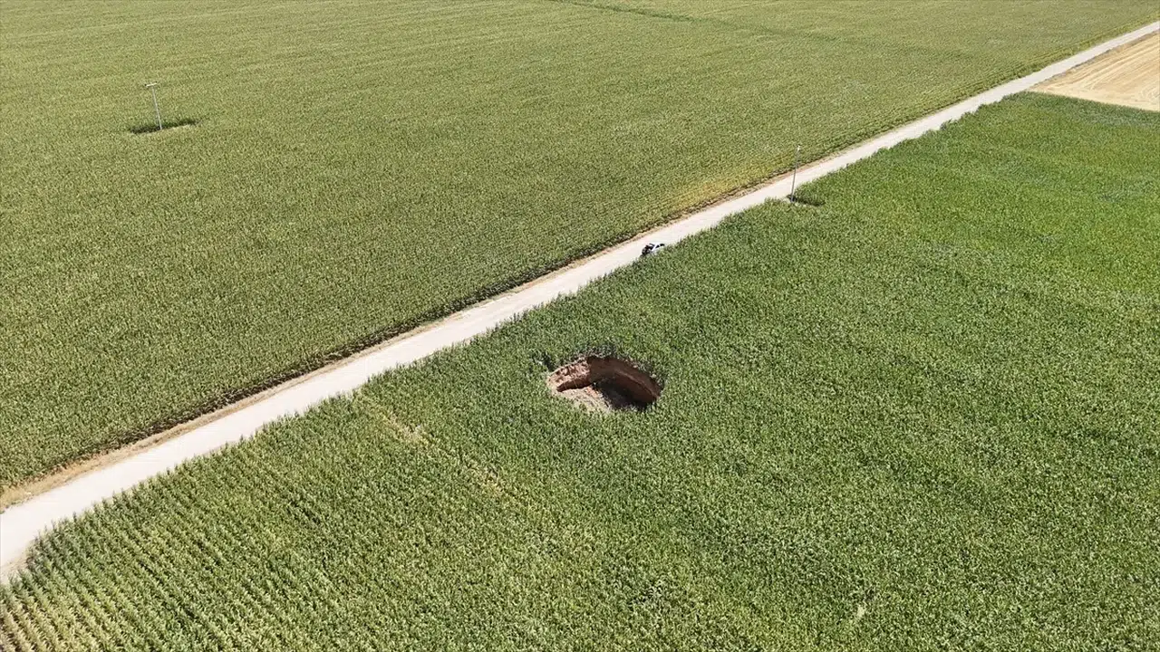 Konya'da suyu çok tüketen ürüne soğuk darbe! Hepsi zarar gördü
