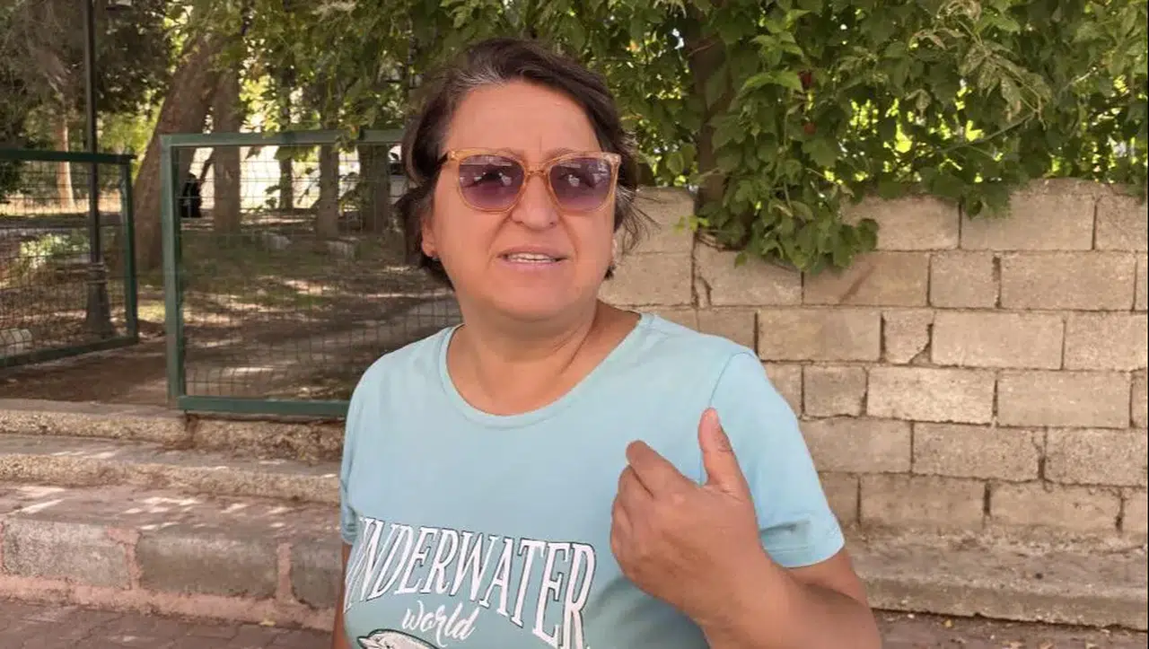 Yine sahipsiz köpek saldırısı: Kadın canını zor kurtardı