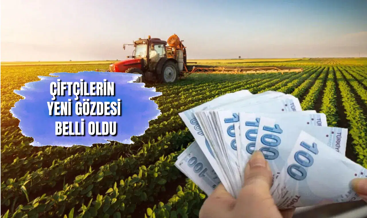 O ilimiz tarlaları bu bitkiyle donattı: Üretim %335 patladı, fiyatı uçuşa geçti