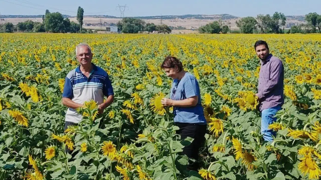 Dünyada ilk örneklerinden: Konya'da bitkilere pasaport çıkarılıyor