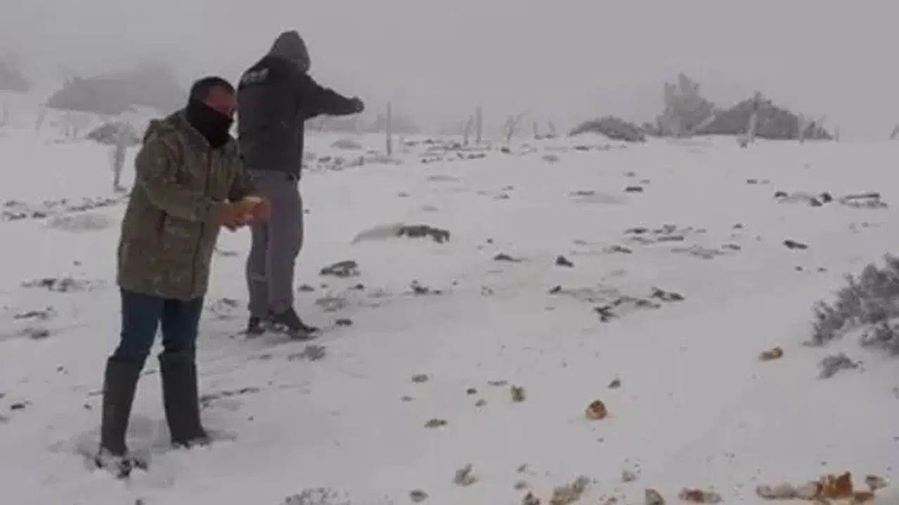 Konya'nın bu ilçesinde kar kalınlığı 15 cm oldu