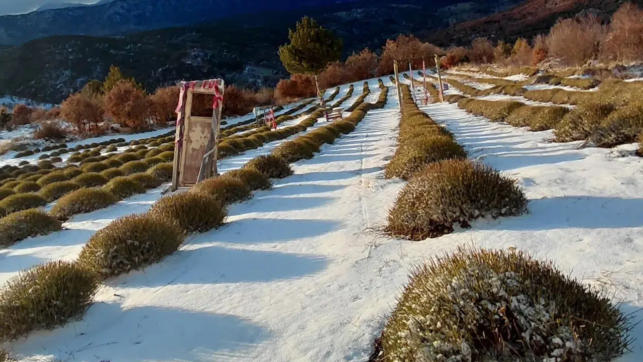Konya'nın barajlarına can geldi: Son yağışlar şehre umut oldu