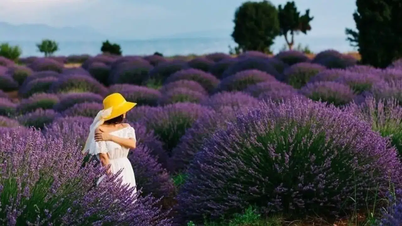 Konya'nın yeni gündemi: Bu turizm anlayışı kentte her şeyi değiştirecek