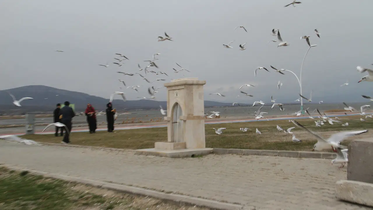 Konyalılar uyarıyı dikkate almadı: Göl kenarına akın ettiler